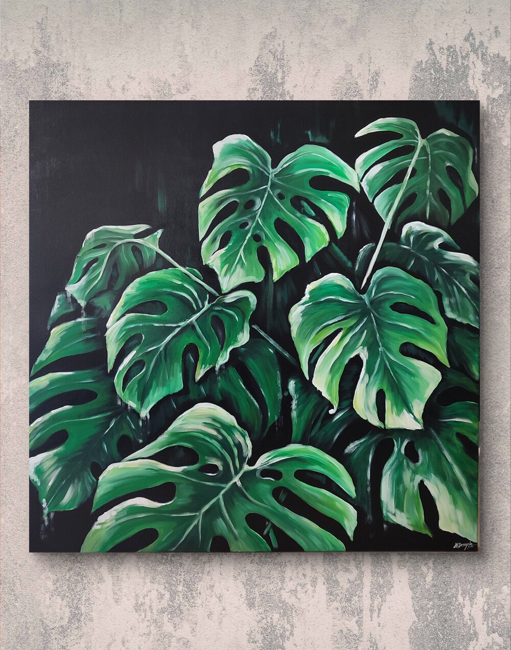 #006 monstera